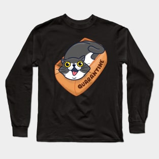 Cat Inside a Cardboard Box Long Sleeve T-Shirt